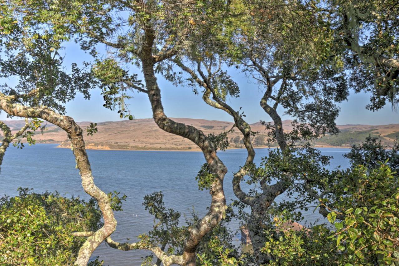 Hillside Home With Deck And Views Of Tomales Bay! 因弗内斯 外观 照片